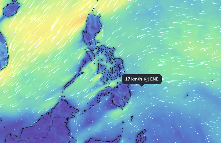 Data Analytics and LLM AI: Leveraging Wave Detection Data for Advanced Modeling in Marine Environments